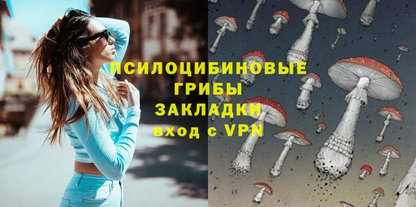 гидра Балахна